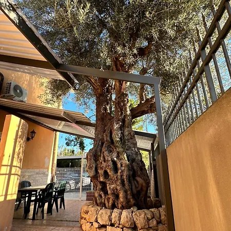 Ferienhaus Verdemarevilla